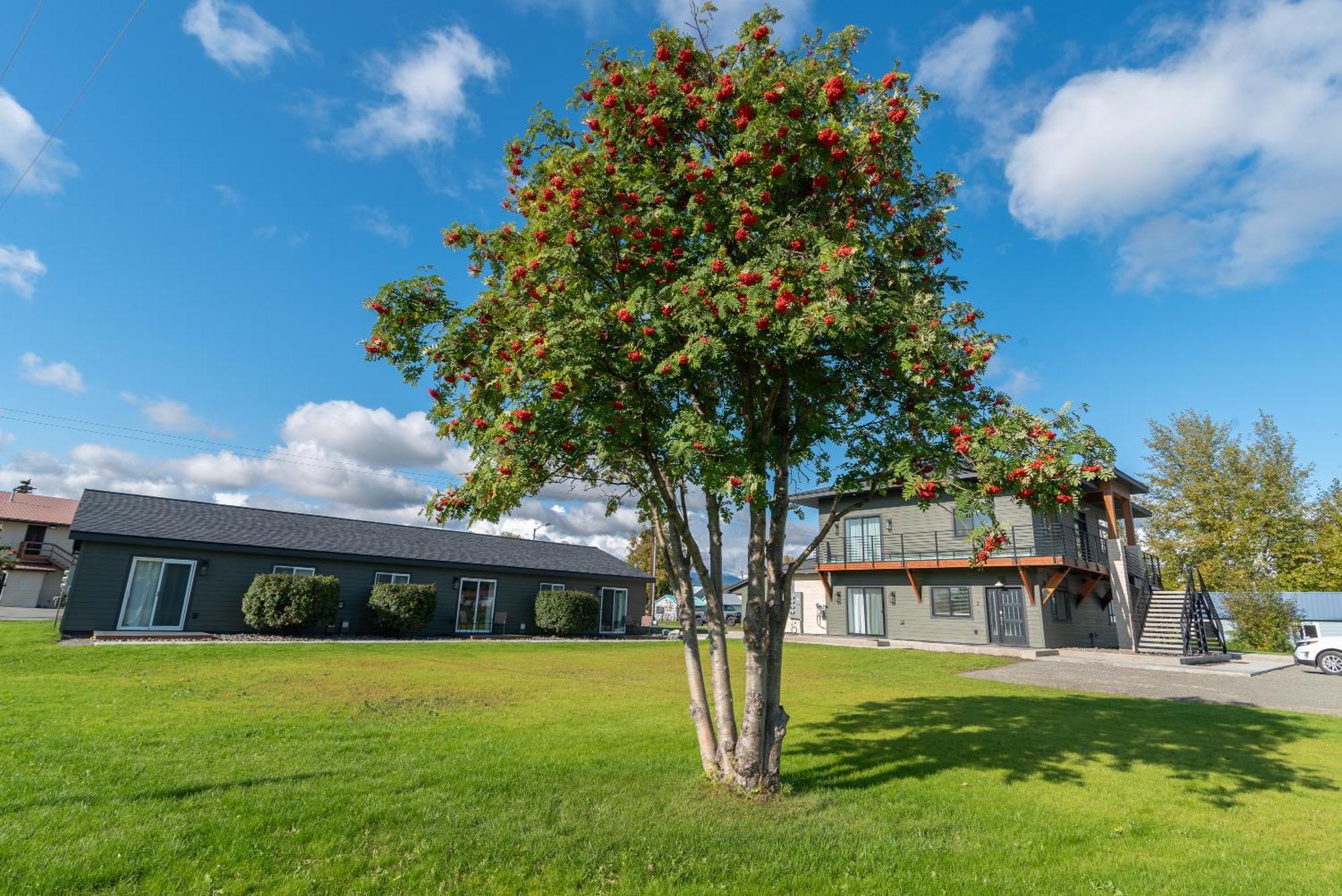 Colony Suites Палмър Екстериор снимка